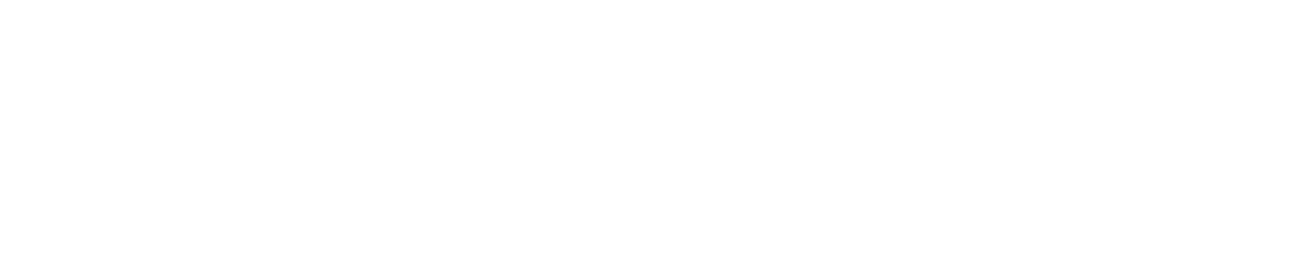   Mission Statement  Striving for excellence - the Loreto way 